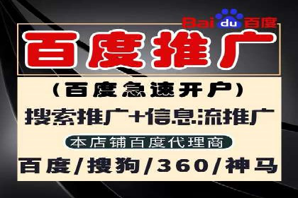 百度企业级服务推广的全面解决方案
